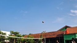 Pertarungan sengit antar kelas, COC Voli 2025 mencetak juara baru